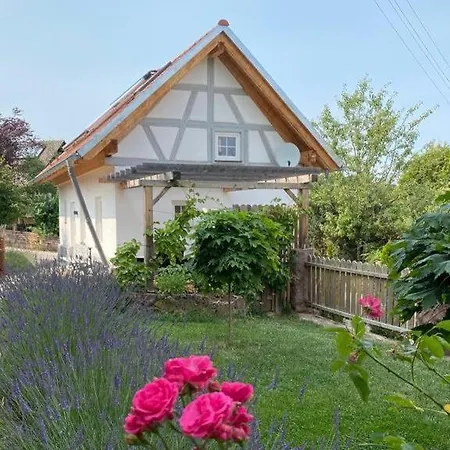 Tinyloft Villa Bad Teinach-Zavelstein Exterior photo